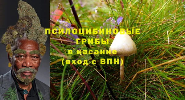 таблы Богданович