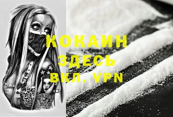 ALPHA PVP Богородицк