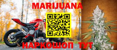мдпв Бердск