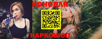 мдпв Бердск