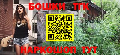 мдпв Бердск