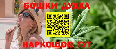 мдпв Бердск